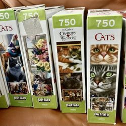 6 Jigsaw Puzzles