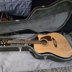 Ibanez Acoustic Dreadnought 