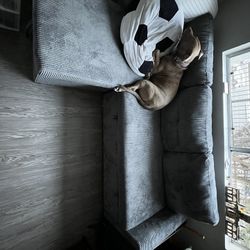 Grey Sectional Couch