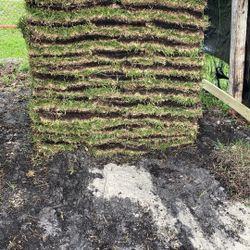 St Augustine Sod - $225 Per Pallet