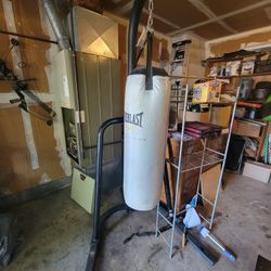 Everlast Punching Bag on FG HB/100 Frame

