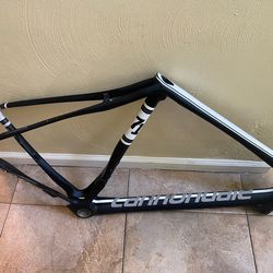 Cannondale synapse carbon frame