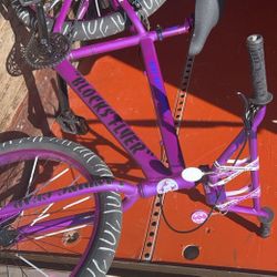 se bike blocks flyer