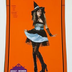 Halloween Witch Costume (Womens Small)