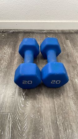 20 lb Hex Dumbbells Pair Blue