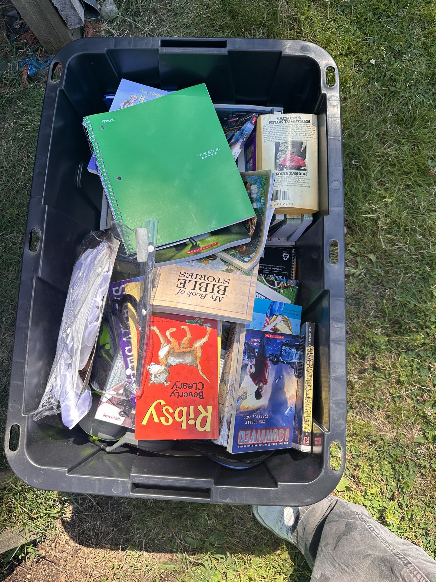 Free Books, middle school level.