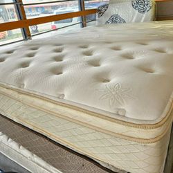 Mattress And Box Spring Size Queen 