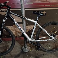 Iron Horse Quantum mountain bike