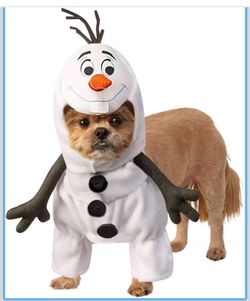 Olaf Pet Costume XL