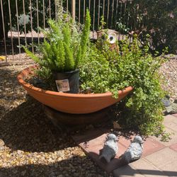 Terracotta Round Bowl Planted Pot