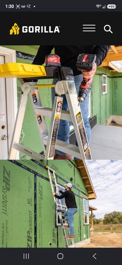 Gorilla 10' Extension Ladders, 2 ea. (14' reach)
