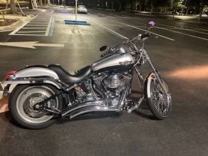 2003 Harley Soft Tail