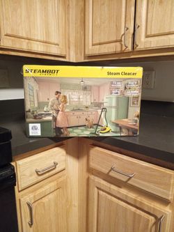 Steam Bot Dynamics Steam Cleaner