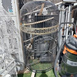 Cast Iron Bird Cage 