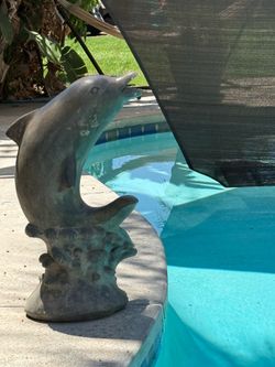 Dolfin