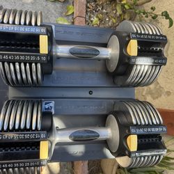 Gold’s Gym switch plates 100 adjustable dumbbells 