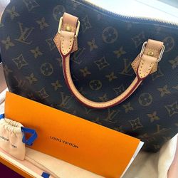 LV Speedy 30 Monogram