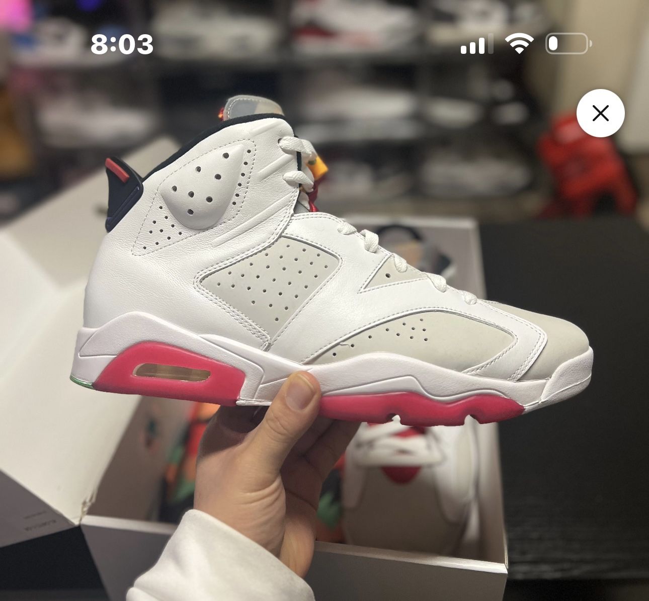 Jordan 6 “hare” 11.5m
