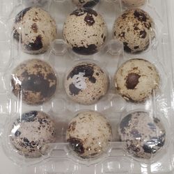 Quail Eggs 4 Dozens X$10