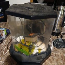 Fish Tank