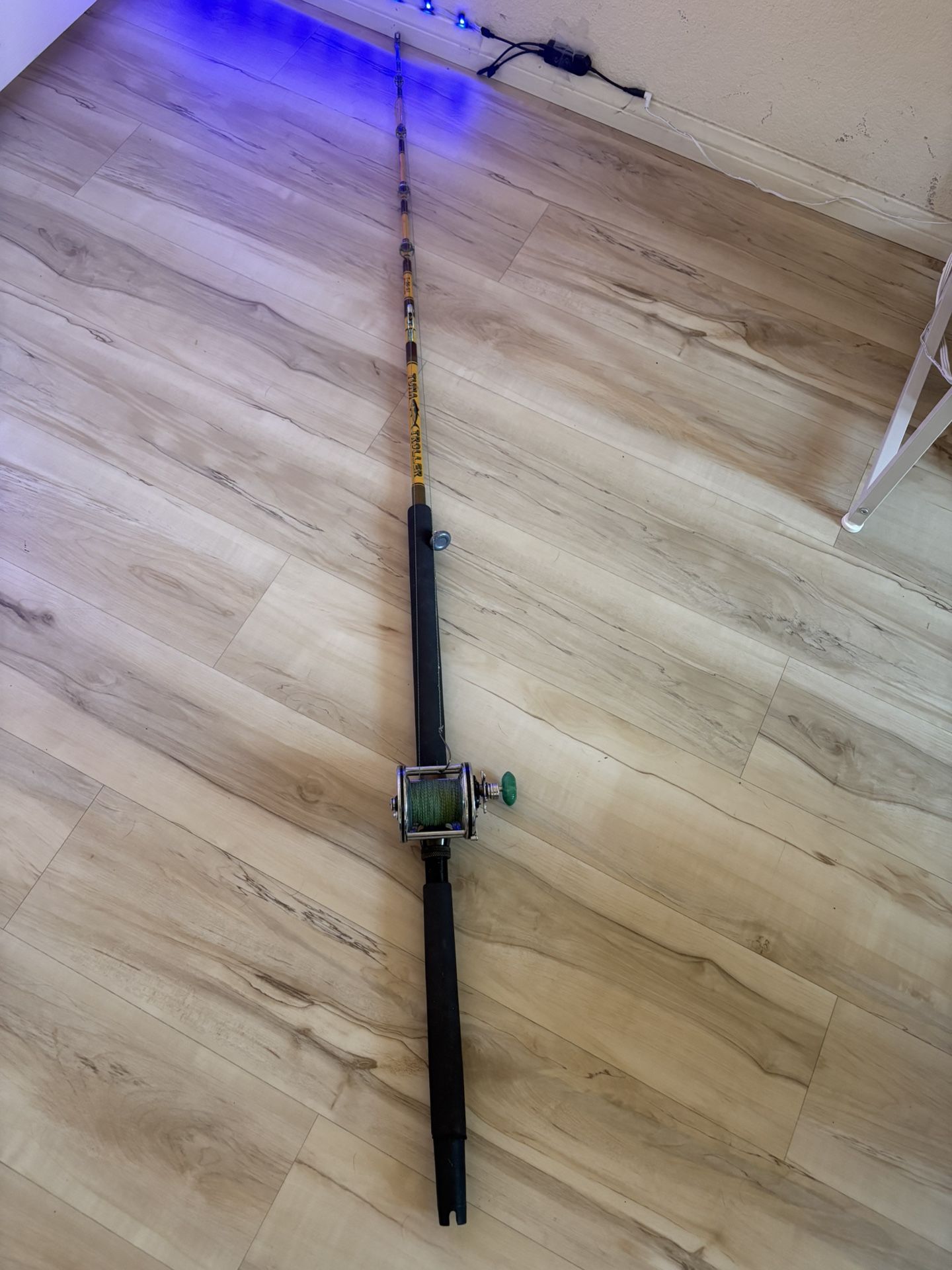 ocean fishing rod