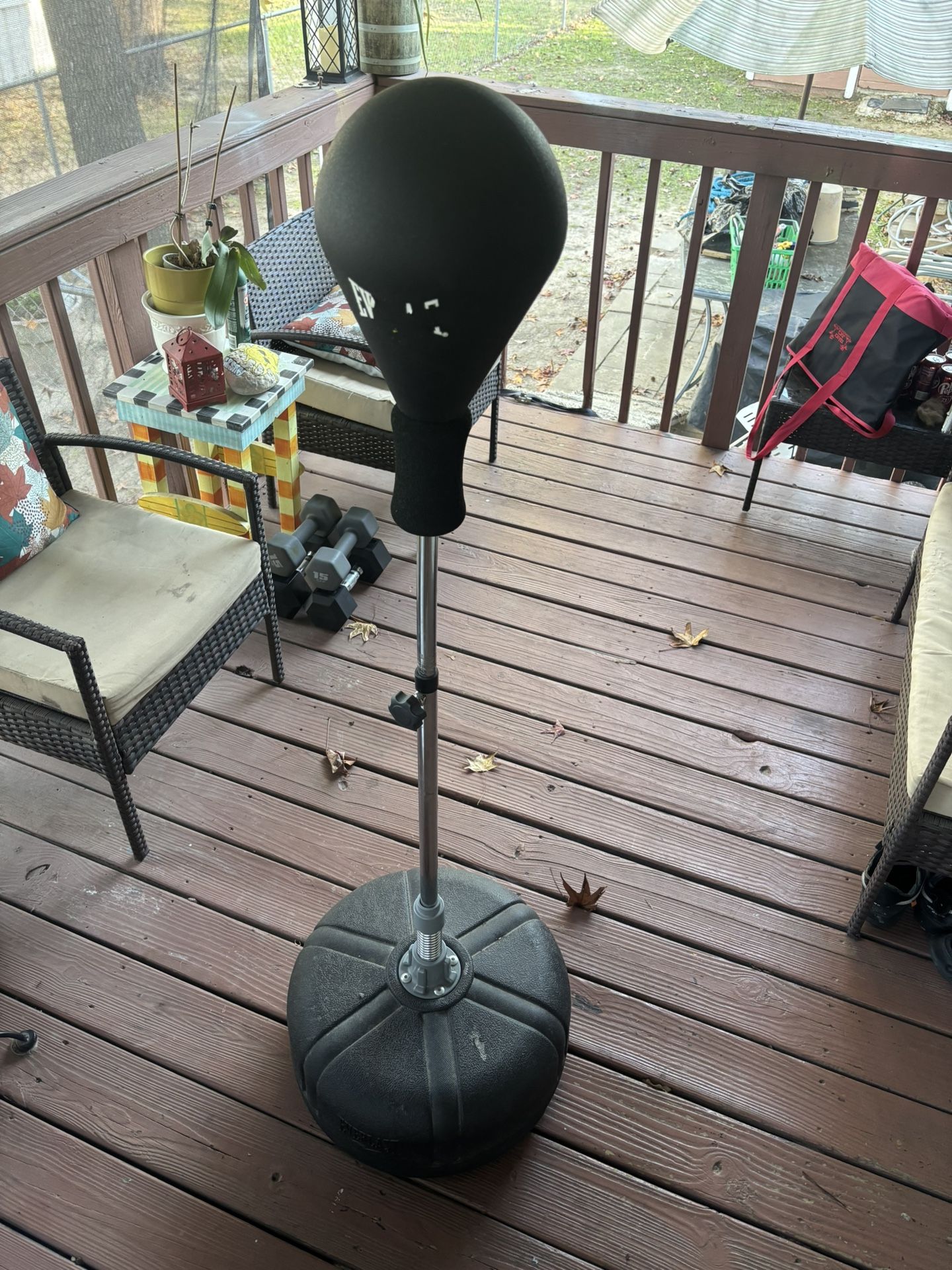 Everlast Boxing Bag, Punching Bag