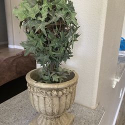 decor plants