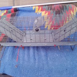 Small Cage Trap