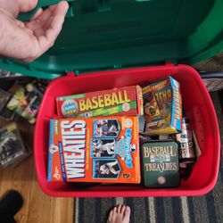 Bin Full Of Sports Stuff 