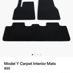 Tesla Y Floor Mats 