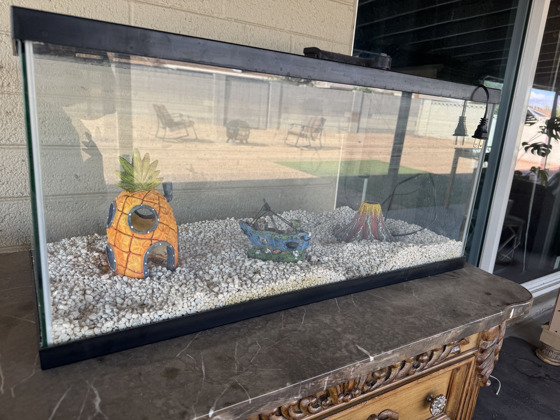 Fish Tank Starter Kit