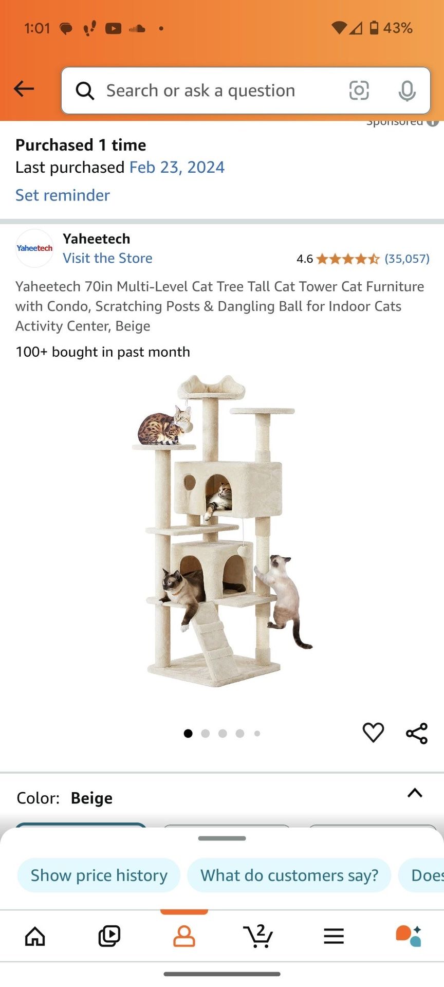 Cat Tower