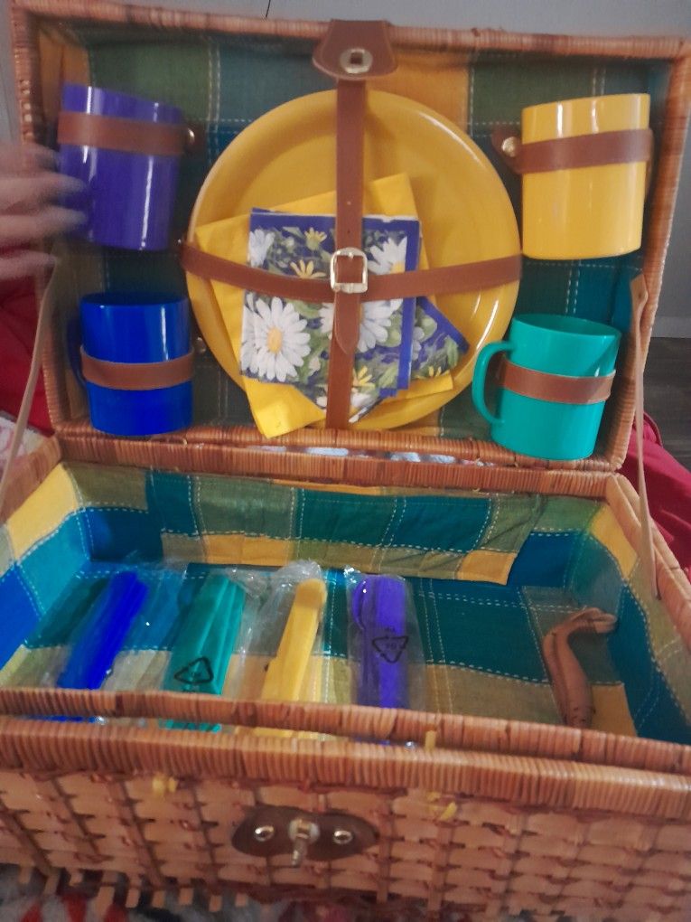 Picnic Case 