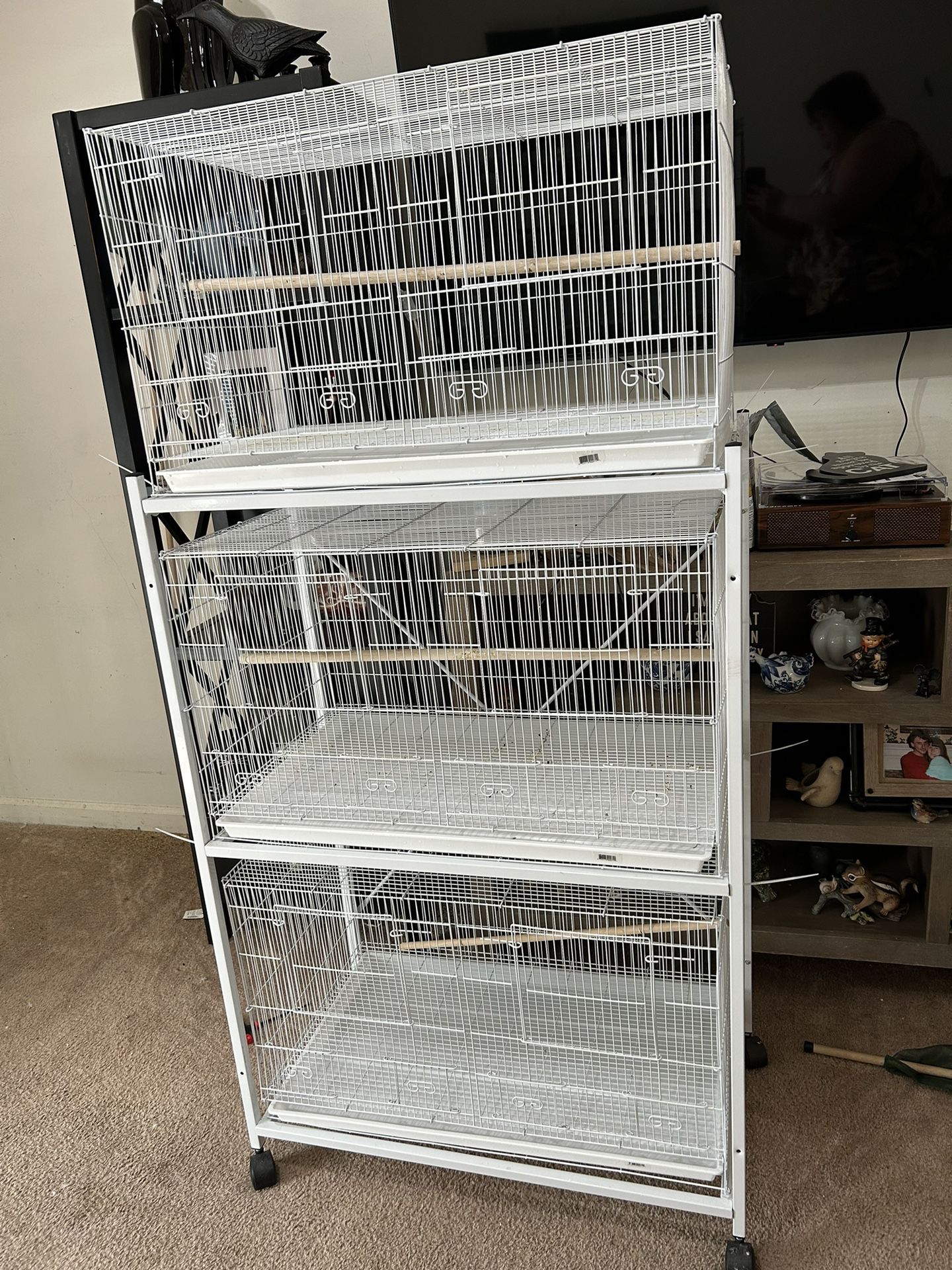 Bird Cages And Stand 