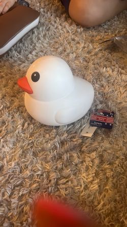 Squishy Duck