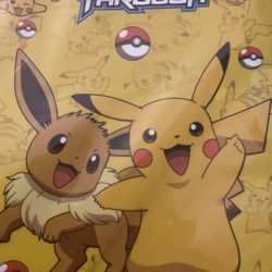 2 Pokémon Card Collector Booklets