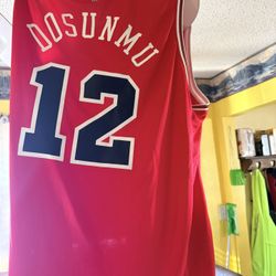 Chicago Bulls Ayo Dosunmu Jersey