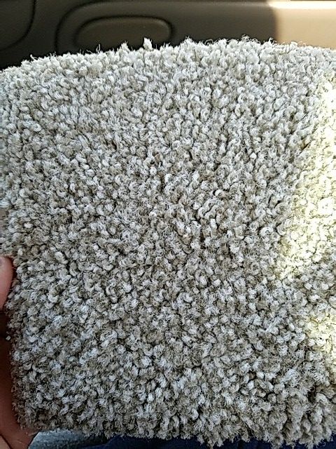 CaRpEt
