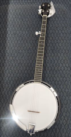 5-string Banjo