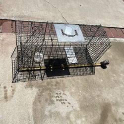 Animal Trap