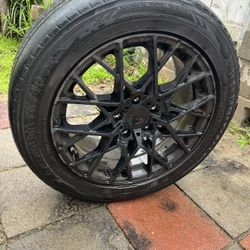 Tsw Rims