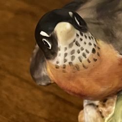 American robin Bone China Figurine 