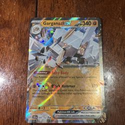 Garganacl Ex 089/142