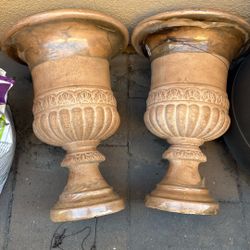 Planters Potting Plants