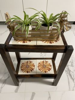 Two Spider Plants & Planter