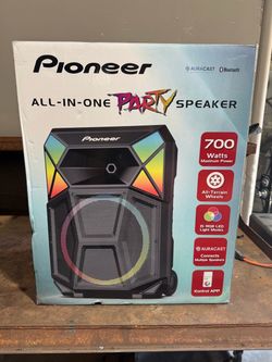 Pioneer All-in-One Party Speaker 700W