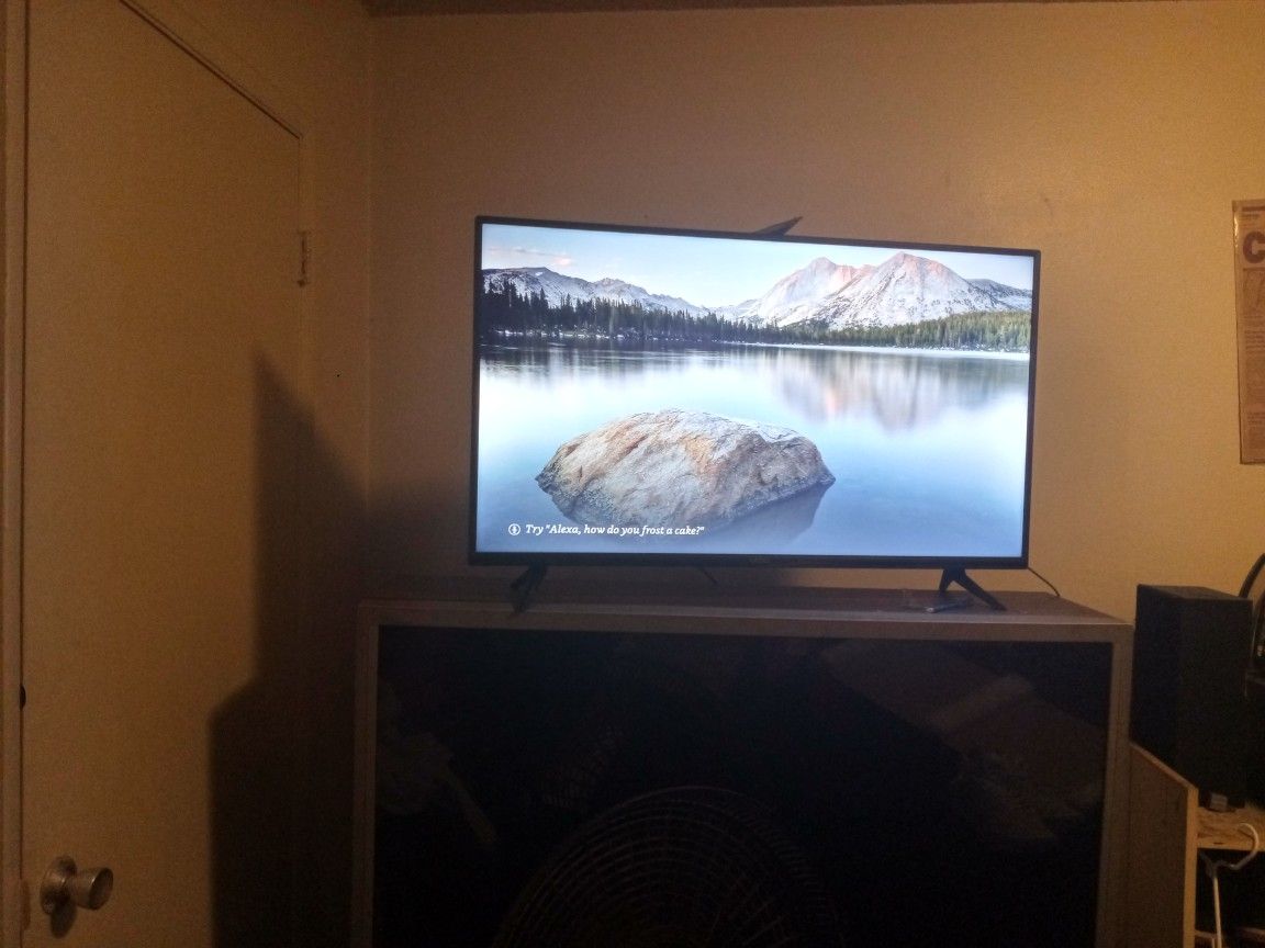 Vizio brand 49 inch HD flat screen tv