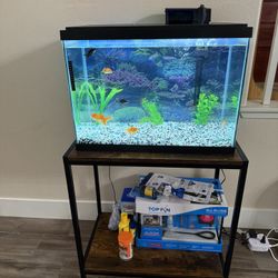 20 Gallon Fish Tank And Stand 