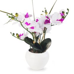 Silk Orchid Flowers Pot 