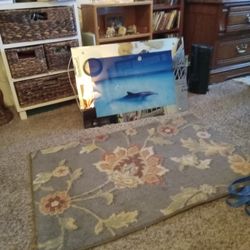 Mirror With Dolphin Picture Lighted And Ocean Sound Plug In